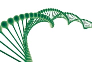 スピルリナマキシマエキス