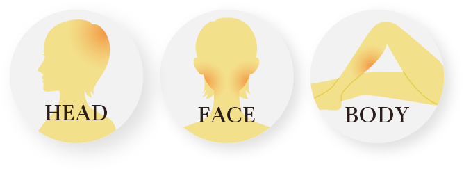 HEAD FACE BODY