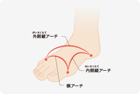 足根骨を動かして扁平足を改善 ファイテン式 足根骨マッサージ とは 製品情報 Phiten Life Technology ファイテン ライフテクノロジー